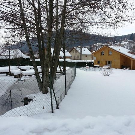 Coquet Chalet D Auviana Vila Xonrupt-Longemer Exterior foto