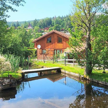 Coquet Chalet D Auviana Vila Xonrupt-Longemer Exterior foto